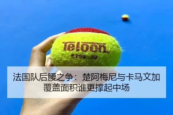 法国队后腰之争：楚阿梅尼与卡马文加覆盖面积谁更撑起中场