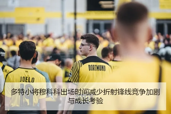 多特小将穆科科出场时间减少折射锋线竞争加剧与成长考验
